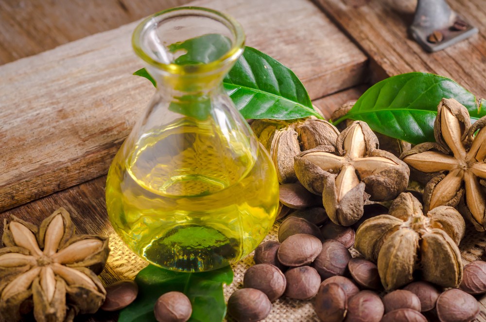 DẦU SACHA INCHI VÀ NHỮNG CÔNG DỤNG TUYỆT VỜI