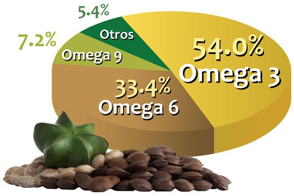 HÀM LƯỢNG OMEGA 3 - 6 - 9 CÓ TRONG SACHI LÀ BAO NHIÊU?