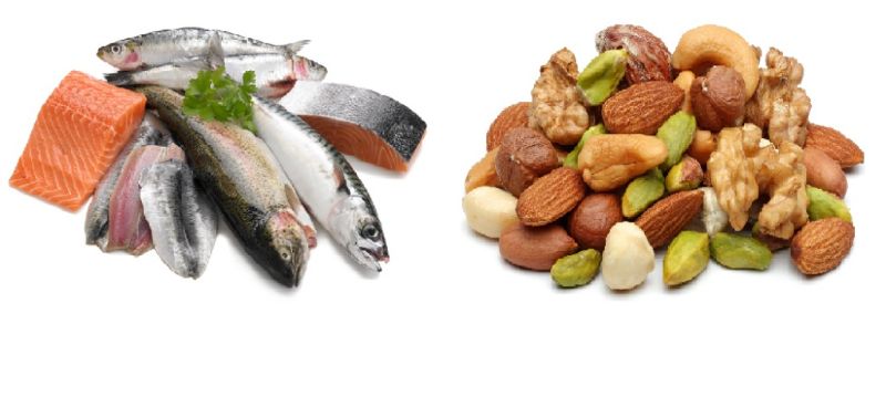 SO SÁNH OMEGA THỰC VẬT VÀ OMEGA ĐỘNG VẬT – NÊN DÙNG LOẠI NÀO LÀ TỐT NHẤT?